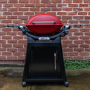 Family Q+ (Q3100N+) Flame Red LPG