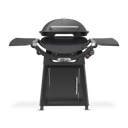 Family Q+ Premium (Q3200N+) Charcoal Grey LPG