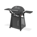 Family Q+ Premium (Q3200N+) Charcoal Grey LPG