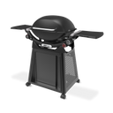 Weber Family Q+ Smart (QX3200N+) Midnight Black