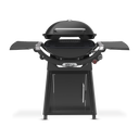 Family Q+ Premium (Q3200N+) Charcoal Grey LPG