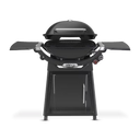 Family Q+ Premium (Q3200N+) Midnight Black LPG