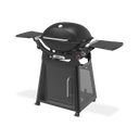 Family Q+ Premium (Q3200N+) Charcoal Grey LPG