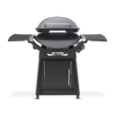 Family Q+ Premium (Q3200N+) Charcoal Grey LPG
